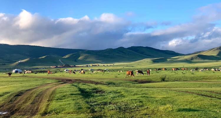 Excursión Estilo de Vida Nómada en Mongolia Central - Termas de Tsenkher - TTRMongolia 3