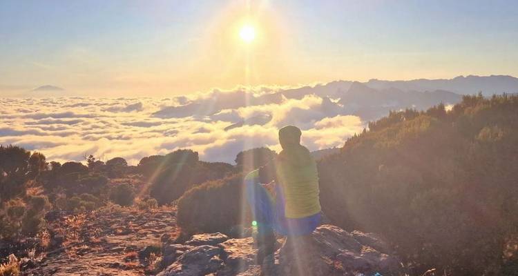 Excursión de un día al Parque Nacional del Kilimanjaro - Meseta de Shira - theKili-Guides 1