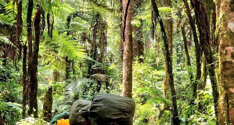 Excursión de un día al Parque Nacional del Kilimanjaro - Meseta de Shira - theKili-Guides 3