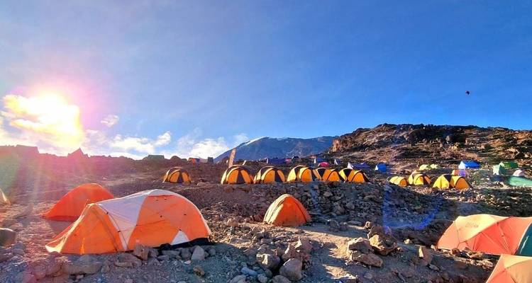 Excursión de un día al Parque Nacional del Kilimanjaro - Meseta de Shira - theKili-Guides 4