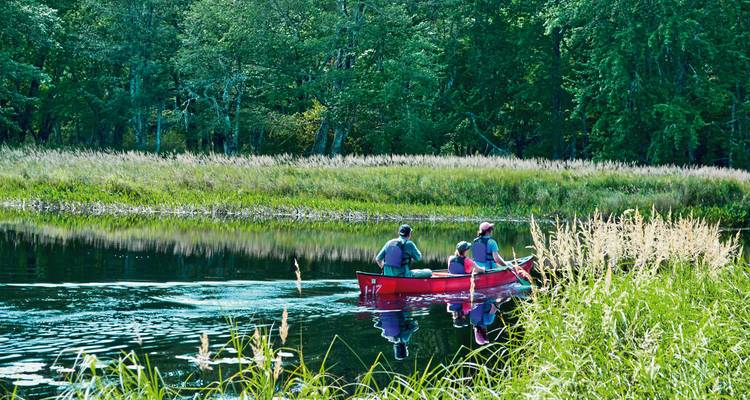 Familie beim Kanufahren auf einem ruhigen Fluss umgeben von Bäumen.