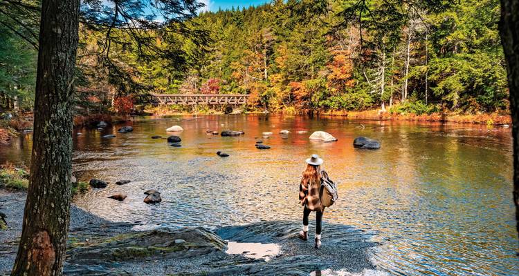 Une personne au bord d'une rivière dans la forêt en automne.