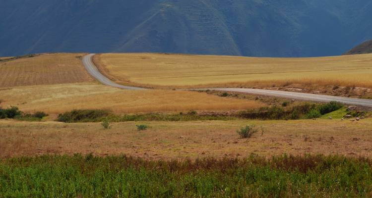 Terrazas Incas de Moray y Minas de Sal de Maras Circuito Privado con almuerzo desde Cusco - VIAJES PACIFICO 6