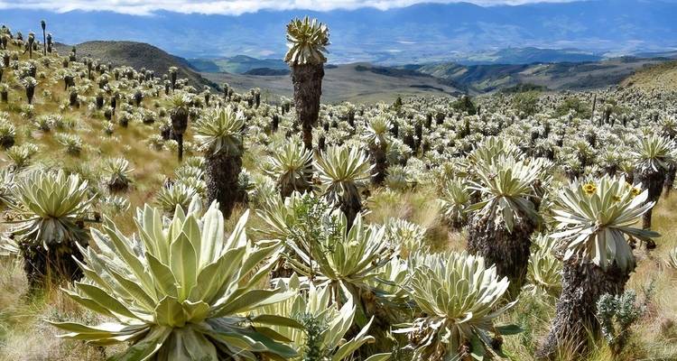 Lo Mejor del Norte de Ecuador en 6 Días - GUIDEcuador Travel 1