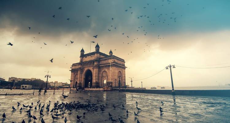 Amara India 12 Días Delhi a Goa vía Ranthambore , Udaipur y Mumbai - Go City Adventures 4
