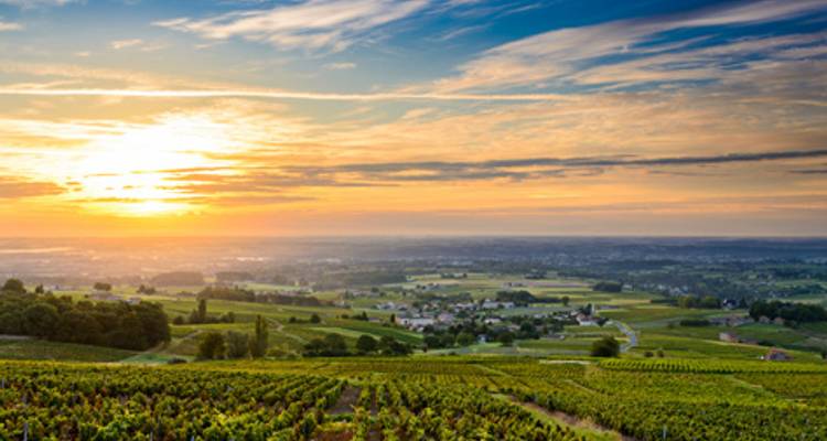 Grand France (2026) (Arles to Paris, 2026) - Uniworld Boutique River Cruise Collection 9