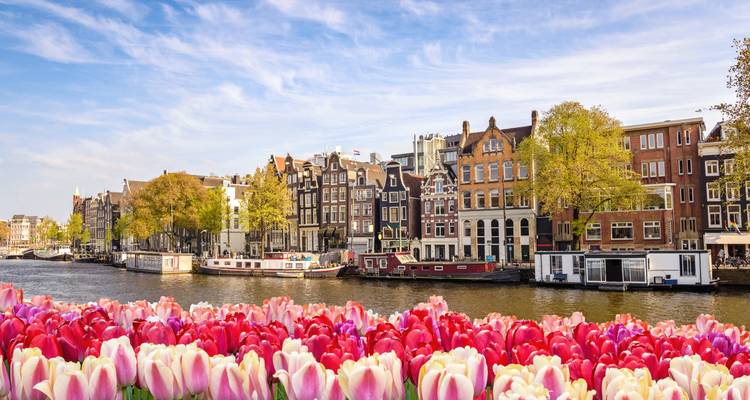 Tulipanes en primer plano con canal y edificios tradicionales.