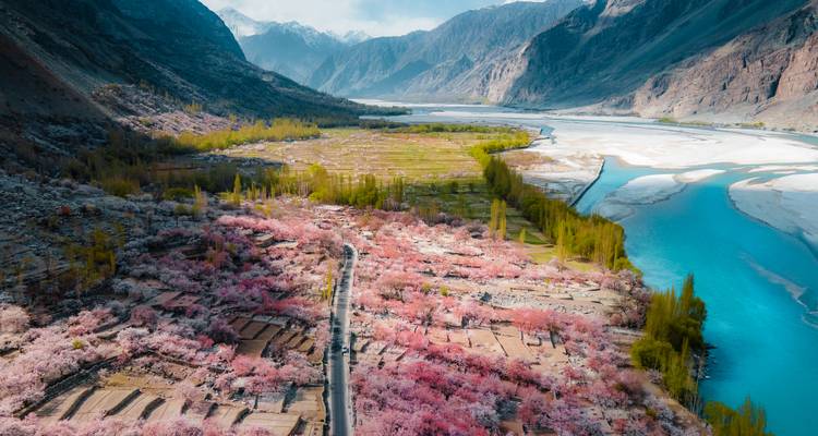 Luchtfoto van vallei met roze bloesems, turquoise rivier en besneeuwde Karakoram-toppen