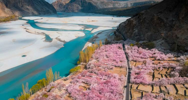 Dramatische vogelvluchtopname van kronkelende turquoise rivier geflankeerd door roze bloesembomen en rotsige kliffen