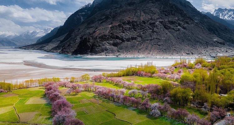 Groene velden omzoomd met roze bloesems onder torenhoge donkere bergen en een gevlochten rivier