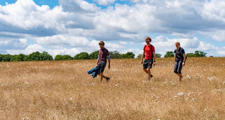 Marcher dans les Cotswolds et à Oxford - Active England Tours 6