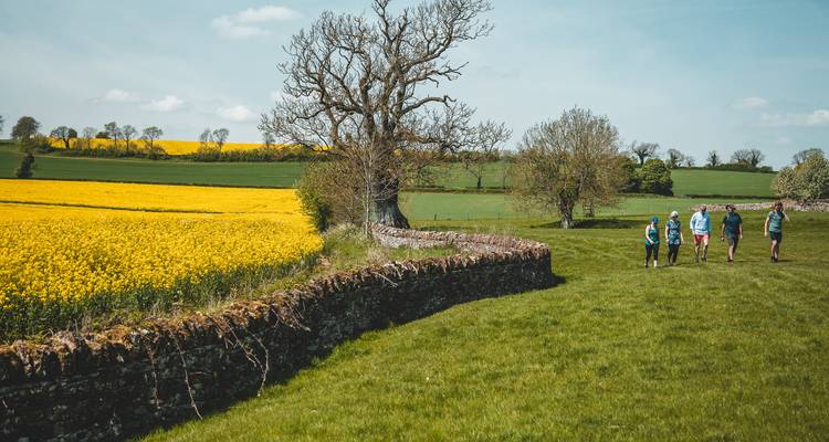 Marcher dans les Cotswolds et à Oxford - Active England Tours 8