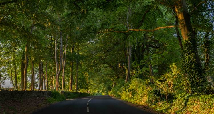 Marcher dans les Cotswolds et à Oxford - Active England Tours 4