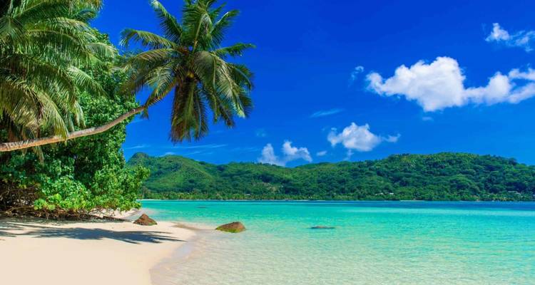 Sailing flotilla in catamaran: Easter 2025 the Seychelles - BeBlue 6