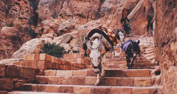 Journey Through Egypt and Jordan  (Amman to Cairo) - Collette 7
