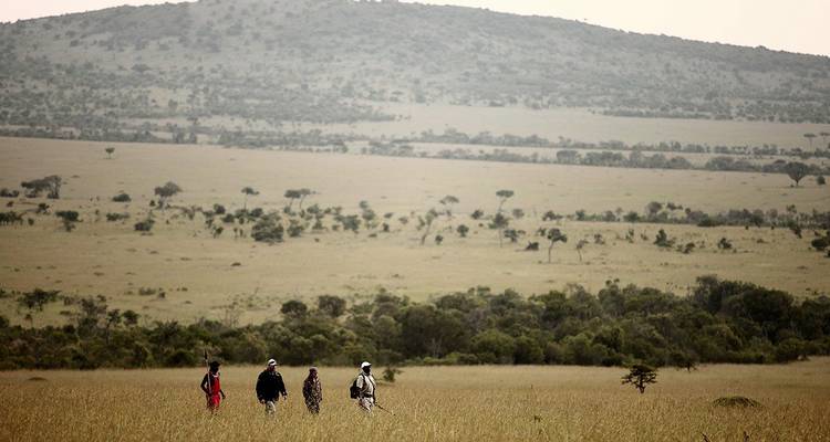 6 Días de Grandes Felinos y Safari a Pie - Lights on Africa Destinations & Safaris 1