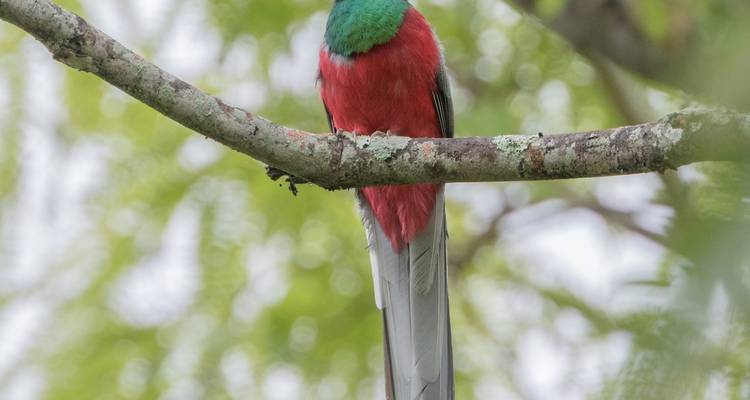 Safari de 7 días para observar aves en Tanzania - Lights on Africa Destinations & Safaris 2