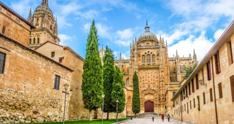 De Portugal a España: Oporto, Valle del Duero (Portugal) y Salamanca (España) (crucero de puerto a puerto) - Miguel Torga - CroisiEurope River Cruises 4