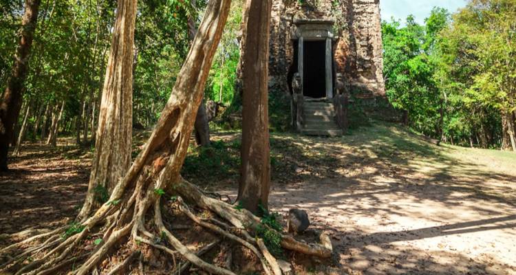 6-Day Tour of Phnom Penh & Siem Reap - Maika Tours 6