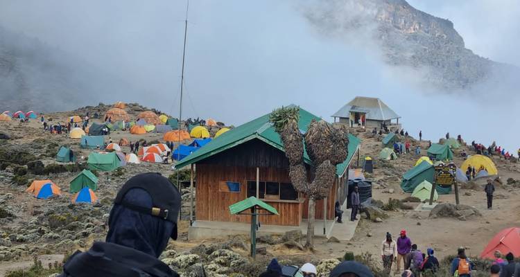 8 Días de Escalada al Kilimanjaro por la Ruta del Circuito Norte - theKili-Guides 1