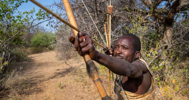 Persoon die een boog richt in een bosgebied.
