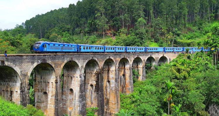 Train traversant un viaduc dans un paysage verdoyant.