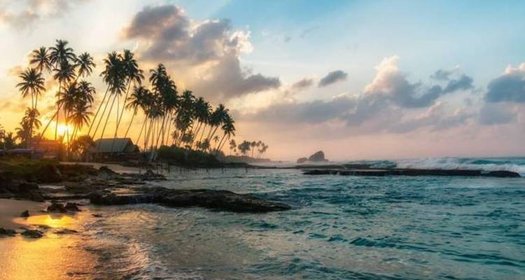 Plage tropicale avec palmiers au coucher du soleil.