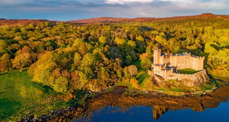 Vista aérea de un castillo rodeado de árboles frondosos.