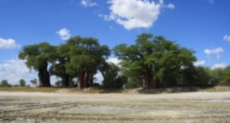 Join Our All-Inclusive 4-Day Safari Through Boteti, Pans & Delta - Across Africa Tours & Travel 3