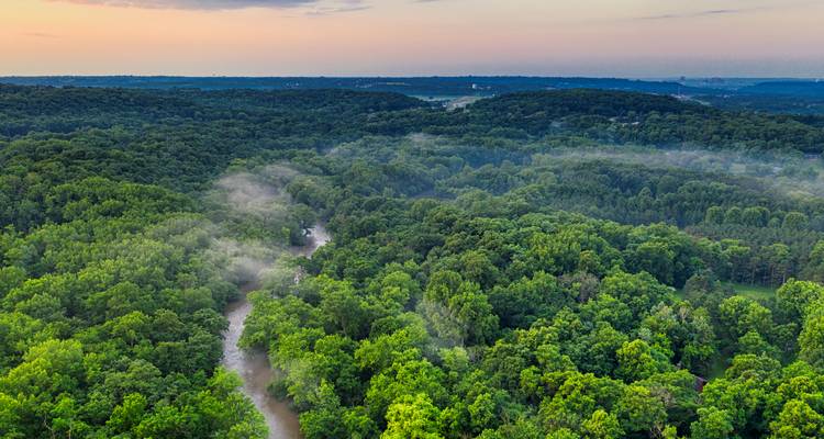 Circuito gastronómico por el Amazonas: Belém y Isla de Marajó - ETours Brazil DMC 4