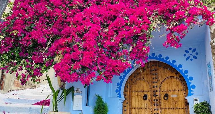 Grand circuit de luxe de 19 jours au Maroc et en Égypte - Luxury Destination 10