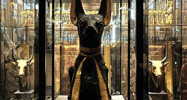Estatua de Anubis con detalles dorados y negros en un museo