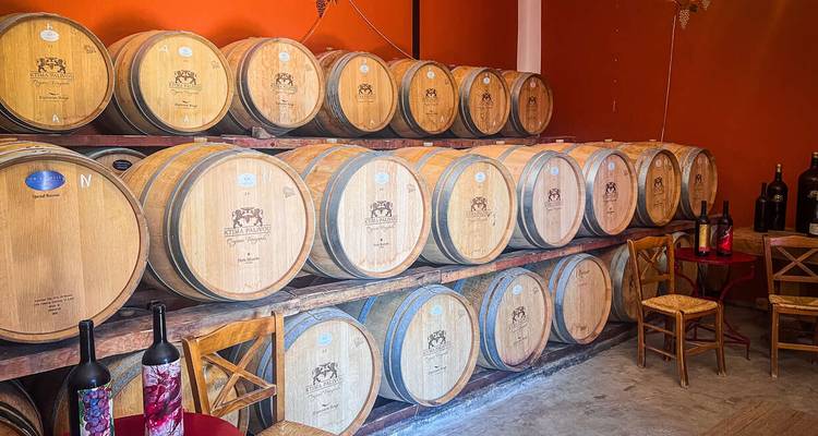 Fila de barriles de vino de madera apilados contra una pared naranja vívida dentro de una pequeña bodega griega.