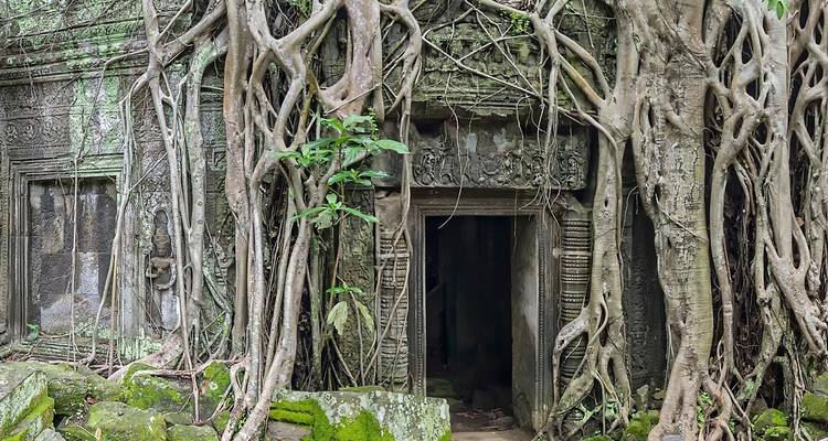 Le Cambodge ultime : 6 jours de Siem Reap à Phnom Penh - Go City Adventures 8