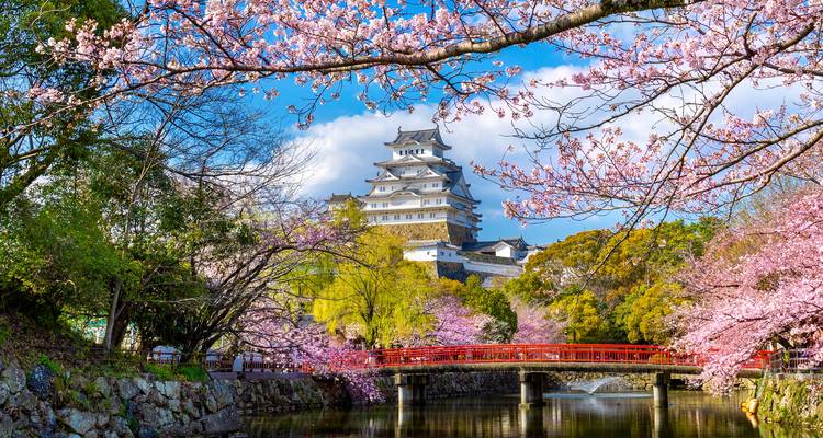 15 Day Japan & World Expo Osaka 2025 Tour Package - Tourist Journey 2