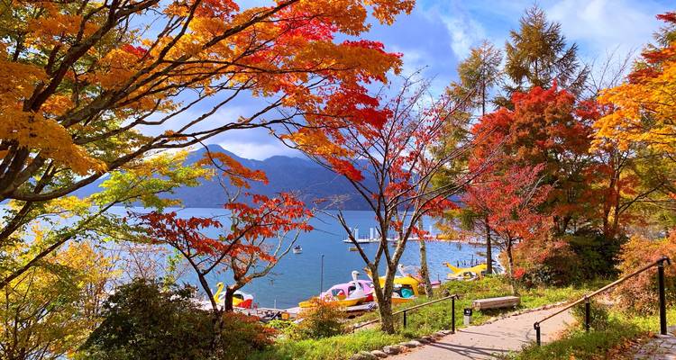15 Day Japan & World Expo Osaka 2025 Tour Package - Tourist Journey 6