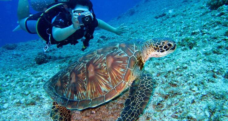 Egipto Majestuoso: Escapada de Lujo al Nilo y Mar Rojo - Luxury Destination 1