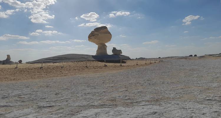 2 Días Campamento Desierto Blanco y Negro Observación de Estrellas -  Black Camel Tours e. U. 4