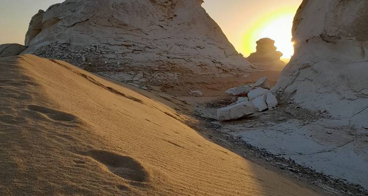2 Días Campamento Desierto Blanco y Negro Observación de Estrellas -  Black Camel Tours e. U. 7