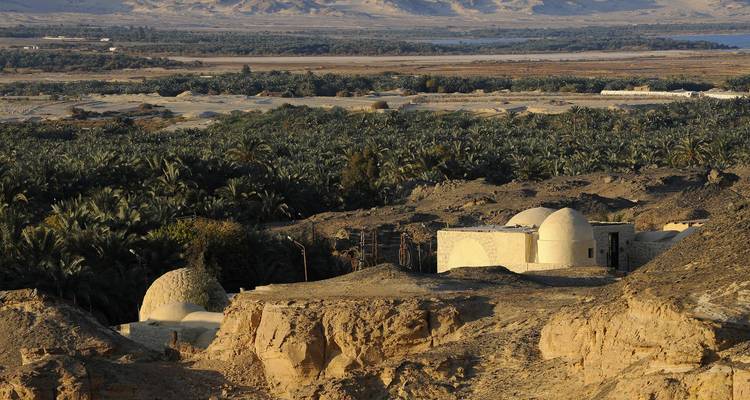 2 Días Campamento Desierto Blanco y Negro Observación de Estrellas -  Black Camel Tours e. U. 10