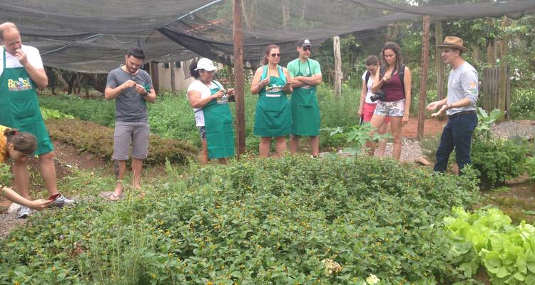 Safari gastronómico en Bonito y Pantanal - ETours Brazil DMC 7