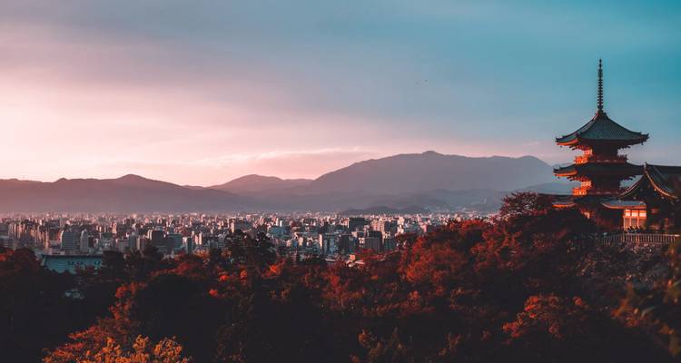 Grand voyage du Japon et de la Corée du Sud en privé - Firebird Tours 7