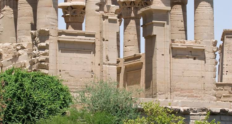 Ruines d'un temple égyptien avec des colonnes et de la végétation.