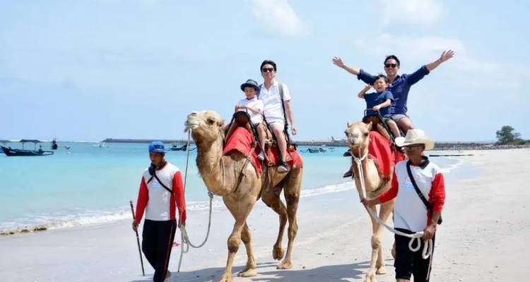 Luna de miel de ensueño de Bali de 11 días (guía y conductor privados） - UME Travel Co. Ltd 10