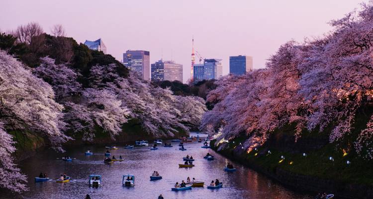 Visite privée du Japon en un clin d'œil - Firebird Tours 1