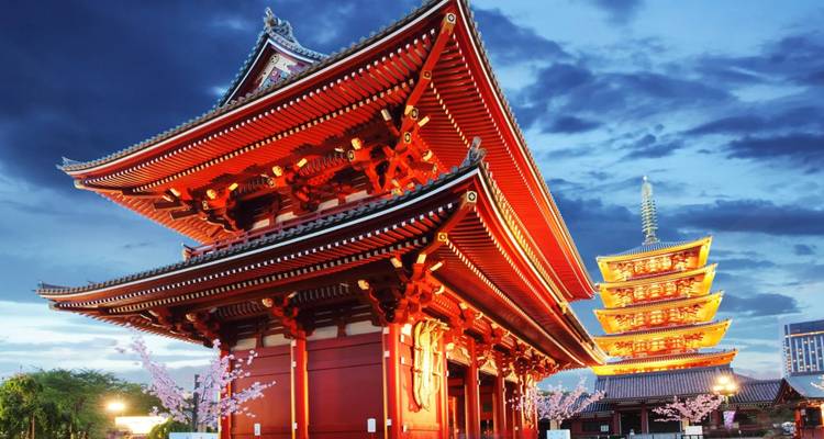 Visite privée du Japon en un clin d'œil - Firebird Tours 2