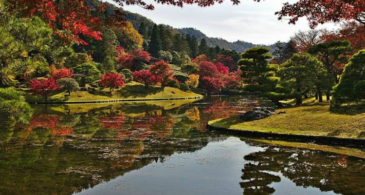 Visite privée du Japon en un clin d'œil - Firebird Tours 6