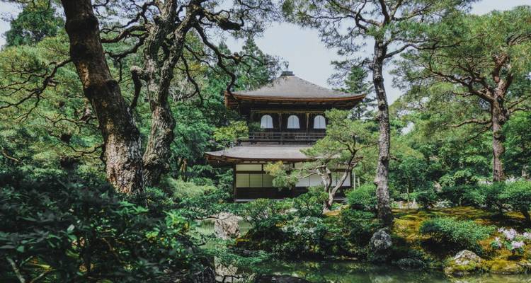Visite privée du Japon en un clin d'œil - Firebird Tours 7