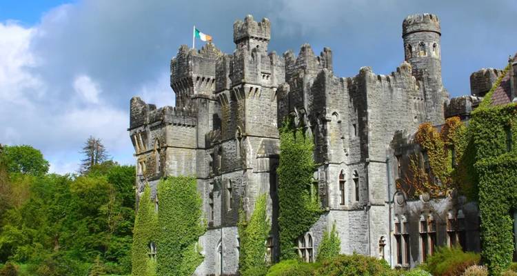 Definitive Ireland Private Tour - Firebird Tours 4
