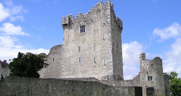 Definitive Ireland Private Tour - Firebird Tours 9